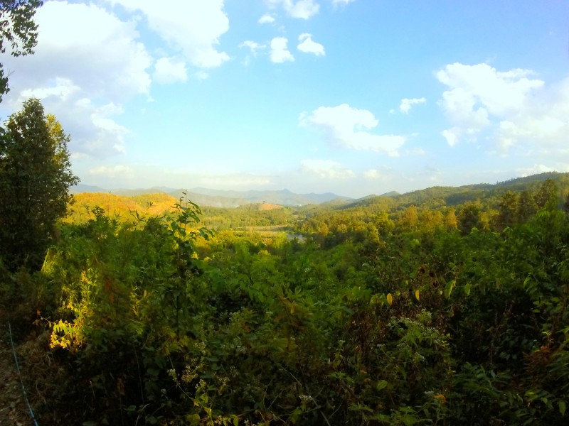 Trekking in Chiang Mai