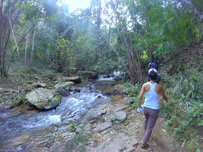Trekking in Chiang Mai