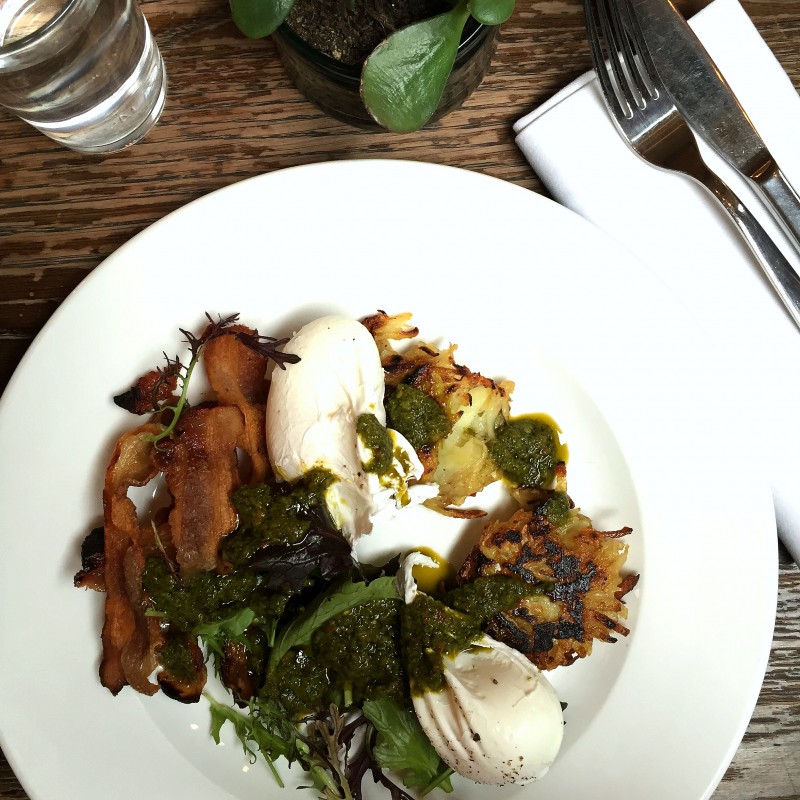 Beagle, Hoxton