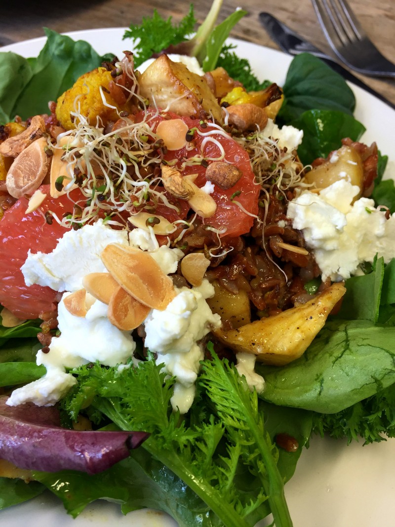 Lunch at Skip Garden Kitchen, Kings Cross. Salad made from organic ingredients grown in their very own garden.
