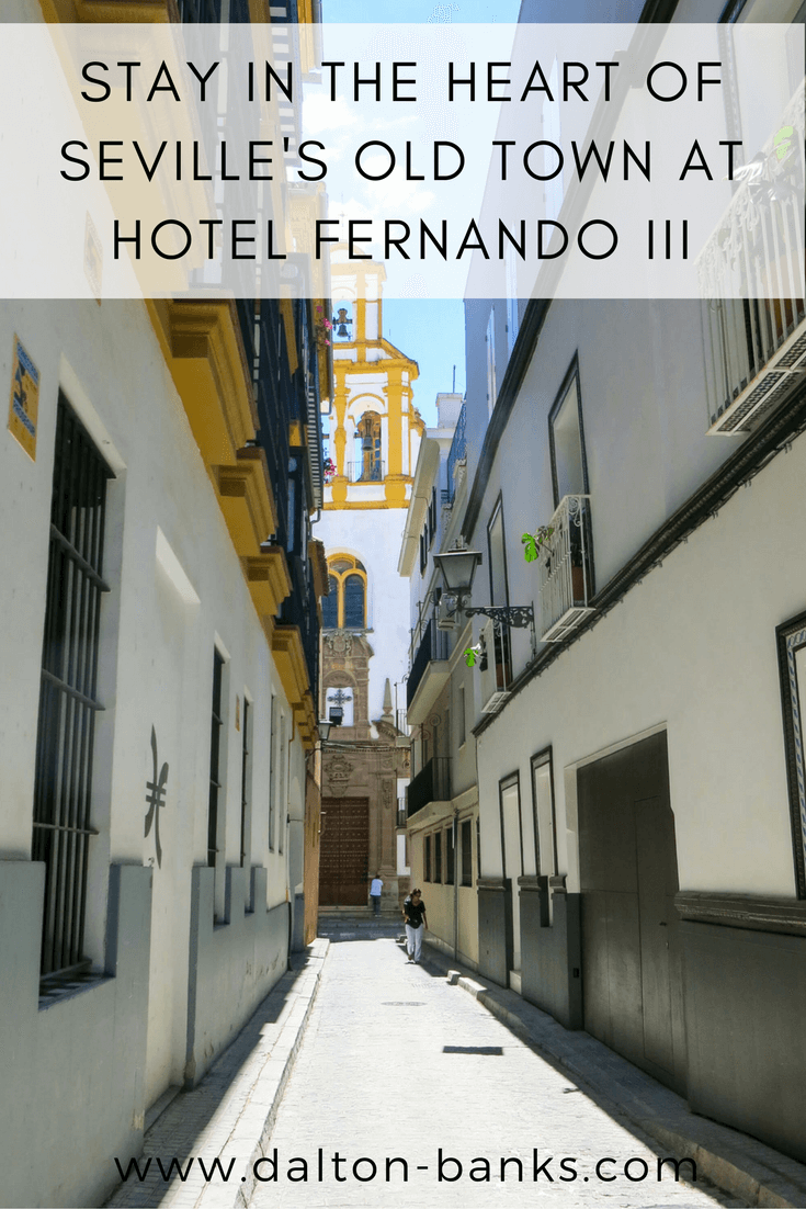 There are two main reasons to stay at Hotel Fernando III in the heart of the old town of Seville. Location and its rooftop swimming pool!