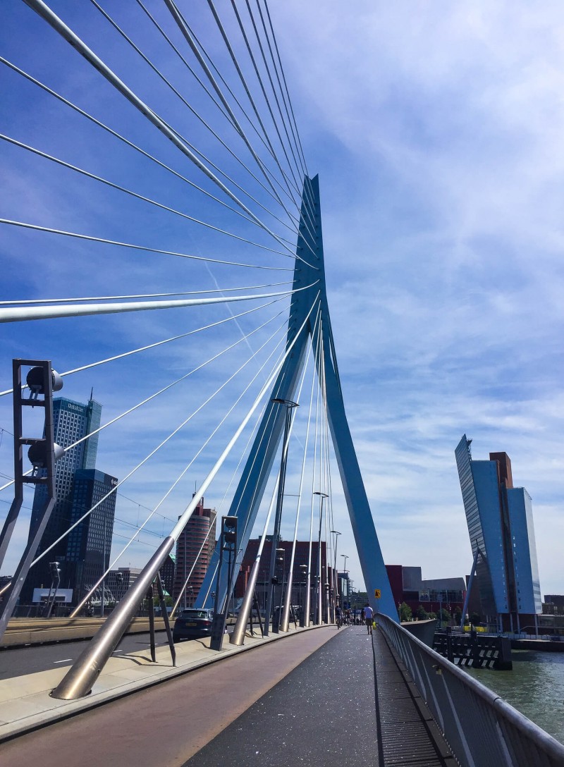 The Erasmus Bridge in the centre of Rotterdam connects the north and south parts of the city.
