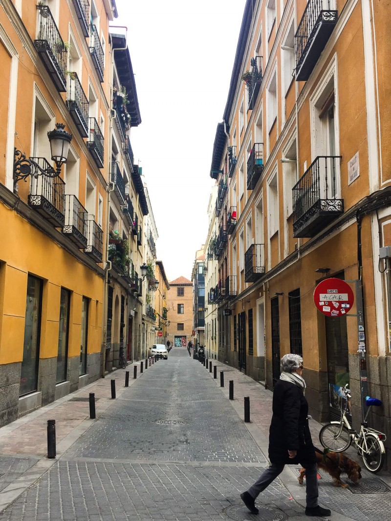 A three day guide to visiting Madrid with tips from a local. Including where to stay, what to do and where to eat! Great for when you're planning your visit to Madrid.