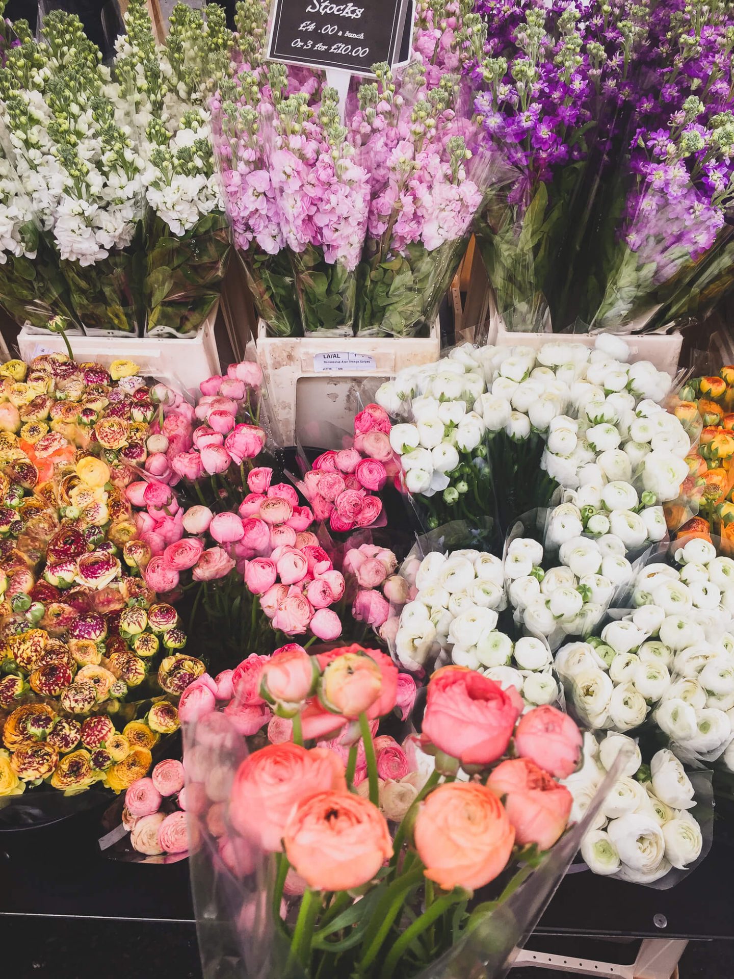 Top tips for Columbia Road Flower Market in London. Including when to go on Sundays and avoid the crowds. www.dalton-banks.co.uk