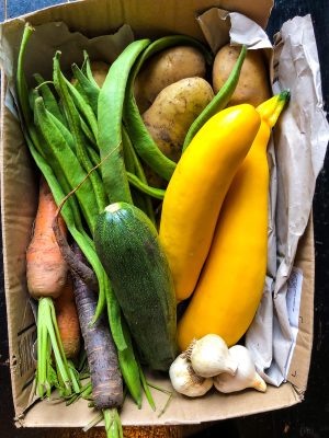 The beautiful box of vegetables from my friends allotment that gave me the inspiration for my raw courgette salad recipe.